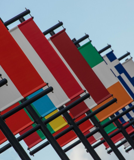Delegates in National Parliaments