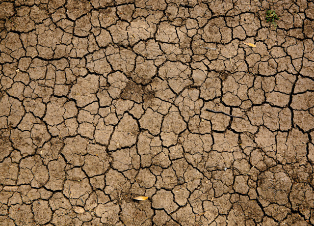 Dry, cracked earth
