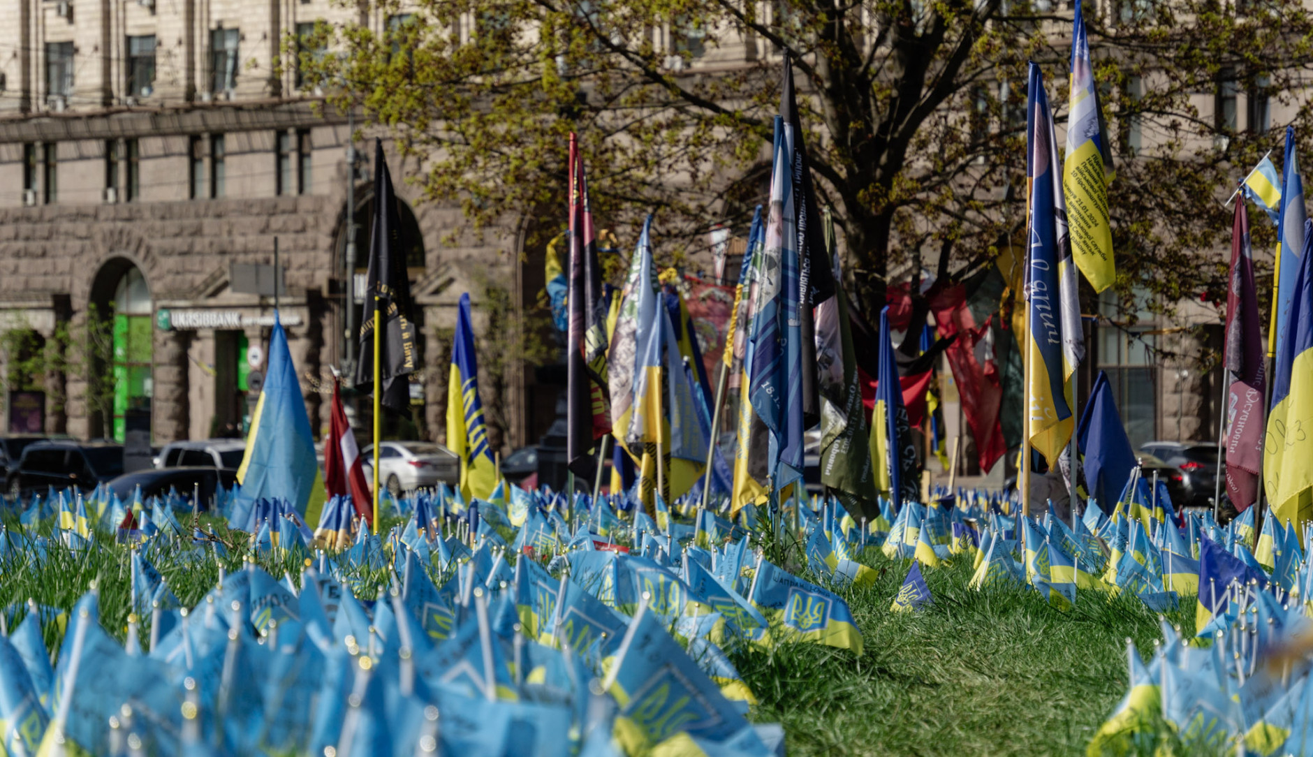 Photo of many Ukrainian flags on a lawn in front of building in Kyiv