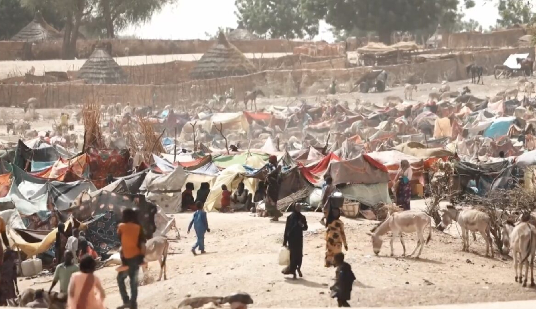 This image shows a densely populated refugee or displaced persons camp in a dry, dusty, sunlit environment, likely in Sudan or a bordering region.  In the foreground, the ground is bare dirt with scattered dry brush. Several people are visible, including figures in dark clothing and a child in blue. Donkeys are prominent on the right side and in the center.  The middle ground and background are filled with numerous makeshift shelters and tents constructed from various materials, including tarps, blankets, and natural elements like straw or sticks. Many of the tents are low to the ground and packed closely together. Behind the main camp area, there are traditional, round, thatched-roof huts (tukuls) and a protective fence or barrier made of natural materials.  The overall impression is one of overcrowding and basic living conditions under a harsh, dry climate, suggesting a humanitarian crisis setting.