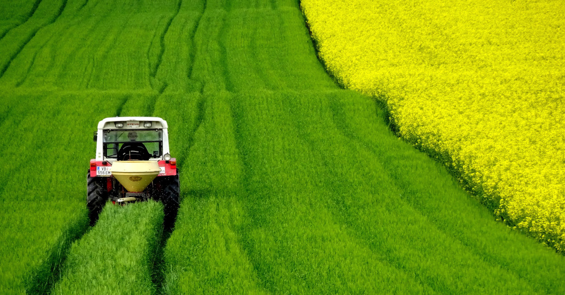 Fertiliser vulnerability in the European Union